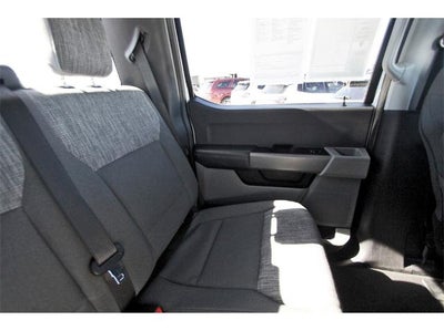 2024 Ford Super Duty F-250 SRW XLT 4WD Crew Cab 6.75' Box