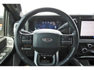 2025 Ford F-350SD Platinum DRW