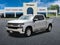 2019 Chevrolet Silverado 1500 LT Texas Edition