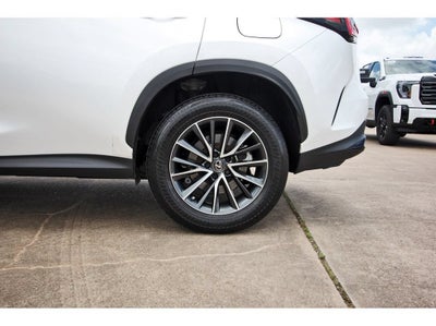 2023 Lexus NX NX 250